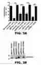 Fig. 09 - METHODS OF INHIBITING VIRAL REPLICATION COMPRISING THE SIGNAL PEPTIDASE COMPLEX