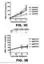 Fig. 10 - METHODS OF INHIBITING VIRAL REPLICATION COMPRISING THE SIGNAL PEPTIDASE COMPLEX