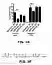 Fig. 11 - METHODS OF INHIBITING VIRAL REPLICATION COMPRISING THE SIGNAL PEPTIDASE COMPLEX