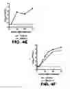 Fig. 16 - METHODS OF INHIBITING VIRAL REPLICATION COMPRISING THE SIGNAL PEPTIDASE COMPLEX