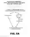 Fig. 17 - METHODS OF INHIBITING VIRAL REPLICATION COMPRISING THE SIGNAL PEPTIDASE COMPLEX