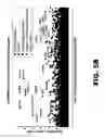 Fig. 18 - METHODS OF INHIBITING VIRAL REPLICATION COMPRISING THE SIGNAL PEPTIDASE COMPLEX