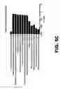 Fig. 19 - METHODS OF INHIBITING VIRAL REPLICATION COMPRISING THE SIGNAL PEPTIDASE COMPLEX