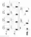 Fig. 27 - METHODS OF INHIBITING VIRAL REPLICATION COMPRISING THE SIGNAL PEPTIDASE COMPLEX