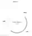 Fig. 02 - FUNGAL PROTEASES