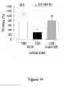 Fig. 15 - Small interfering RNA (siRNA) for the therapy of type 2 (ADO2) autosomal dominant osteopetrosis caused by CLCN7 (ADO2 CLCN7-dependent) gene mutation