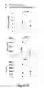 Fig. 23 - Small interfering RNA (siRNA) for the therapy of type 2 (ADO2) autosomal dominant osteopetrosis caused by CLCN7 (ADO2 CLCN7-dependent) gene mutation
