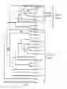 Fig. 16 - POLYNUCLEOTIDES AND POLYPEPTIDES IN PLANTS