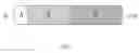 Fig. 19 - POLYNUCLEOTIDES AND POLYPEPTIDES IN PLANTS