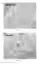 Fig. 33 - POLYNUCLEOTIDES AND POLYPEPTIDES IN PLANTS