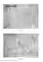 Fig. 34 - POLYNUCLEOTIDES AND POLYPEPTIDES IN PLANTS