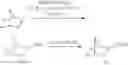 Fig. 46 - Methods for increasing molecular diversity of polyketides and non-ribosomal proteins