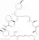 Fig. 79 - Methods for increasing molecular diversity of polyketides and non-ribosomal proteins