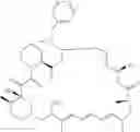 Fig. 87 - Methods for increasing molecular diversity of polyketides and non-ribosomal proteins