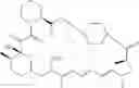 Fig. 89 - Methods for increasing molecular diversity of polyketides and non-ribosomal proteins