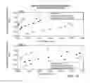 Fig. 20 - Nucleic Acid Amplification With Integrated Multiplex Detection