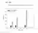 Fig. 24 - Nucleic Acid Amplification With Integrated Multiplex Detection