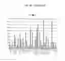 Fig. 48 - Nucleic Acid Amplification With Integrated Multiplex Detection