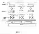 Fig. 02 - Methods and systems for multiplex quantitative nucleic acid amplification
