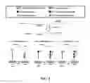 Fig. 04 - Methods and systems for multiplex quantitative nucleic acid amplification