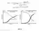 Fig. 09 - Methods and systems for multiplex quantitative nucleic acid amplification