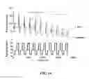 Fig. 17 - Methods and systems for multiplex quantitative nucleic acid amplification