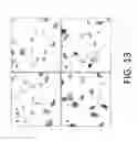 Fig. 16 - In situ detection of nucleotide variants in high noise samples, and compositions and methods related thereto