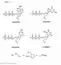 Fig. 02 - ION SENSOR DNA AND RNA SEQUENCING BY SYNTHESIS USING NUCLEOTIDE REVERSIBLE TERMINATORS