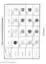 Fig. 08 - Multiplex nucleic acid detection methods and systems