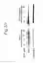 Fig. 05 - NOL3 is a predictor of patient outcome
