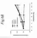 Fig. 34 - NOL3 is a predictor of patient outcome