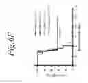 Fig. 38 - NOL3 is a predictor of patient outcome