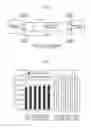 Fig. 02 - Excellent workability steel wire rod and method for production of same