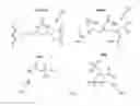 Fig. 06 - Functionalized Adsorbents for the Recovery of Rare Earth Elements from Aqueous Media
