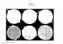 Fig. 05 - Metallic glass composites with controllable work-hardening capacity