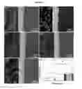 Fig. 03 - Plating or Coating Method for Producing Metal-Ceramic Coating on a Substrate