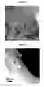 Fig. 27 - Plating or Coating Method for Producing Metal-Ceramic Coating on a Substrate