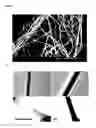 Fig. 06 - Gel-electrospinning process for preparing high-performance polymer nanofibers