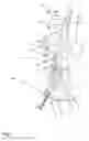Fig. 02 - Method for preparing a yarn end for spinning-in at a rotor spinning device of a rotor spinning machine along with a rotor spinning machine