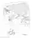 Fig. 06 - Wide swath offset concrete screed