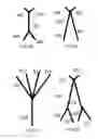 Fig. 07 - Pool apparatus