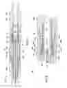 Fig. 08 - Underreamer for increasing a wellbore diameter