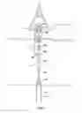 Fig. 02 - Riser with internal rotating flow control device