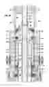 Fig. 06 - Installation of an emergency casing slip hanger and annular packoff assembly having a metal to metal sealing system through the blowout preventer