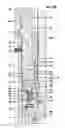 Fig. 28 - Installation of an emergency casing slip hanger and annular packoff assembly having a metal to metal sealing system through the blowout preventer