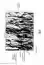 Fig. 03 - MULTI-LAYERED COATING WITH COLUMNAR MICROSTRUCTURE AND BRANCHED COLUMNAR MICROSTRUCTURE