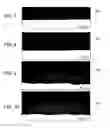 Fig. 05 - THERMAL BARRIER COATING SYSTEMS AND METHODS OF MAKING AND USING THE SAME