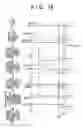 Fig. 19 - Control device for internal combustion engine