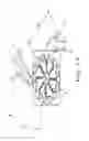 Fig. 13 - Diffusor for a radial compressor, radial compressor and turbo engine with radial compressor