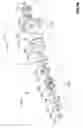 Fig. 11 - Clutch assembly